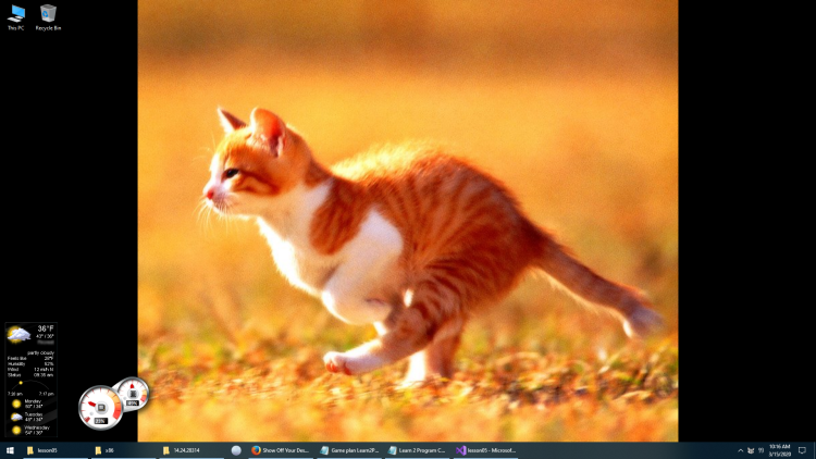 Рыжий кот бежит