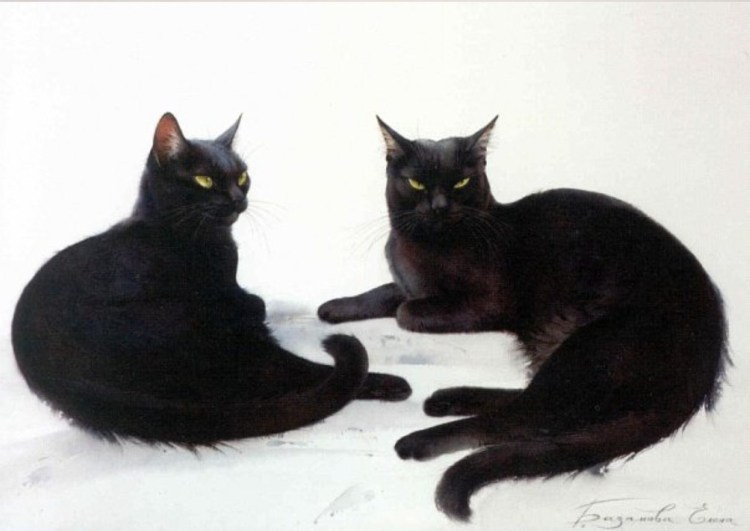 Коты Елены Базановой