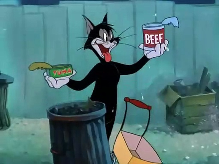 Кошки на улицах Кирова