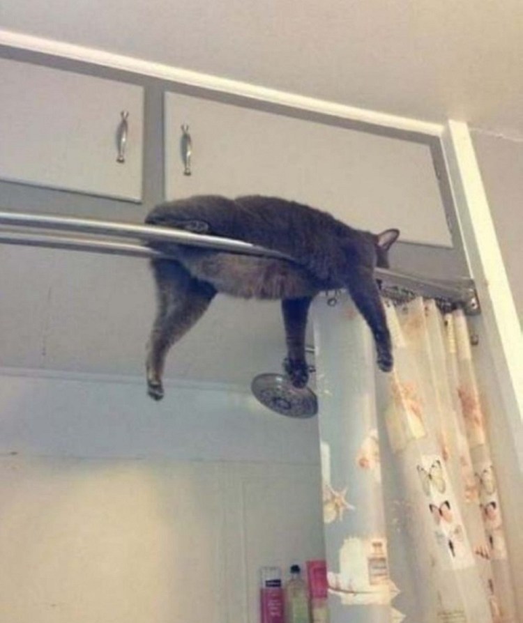 Кошка порвала штору