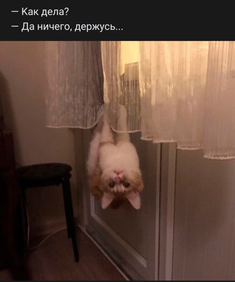 Ничего держусь