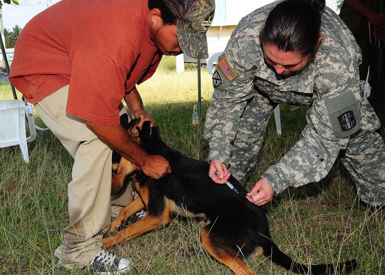 Подстрижка ногтей у собак