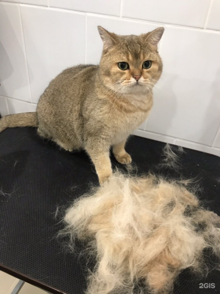 Экстра линька