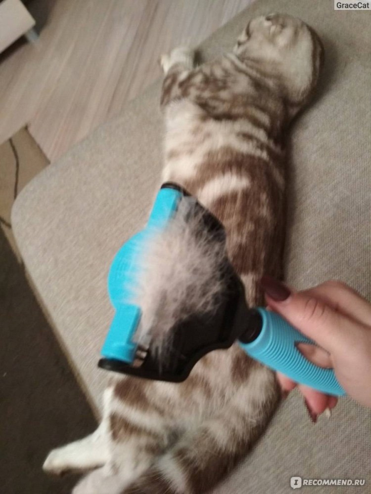 Фурминатор Результаты