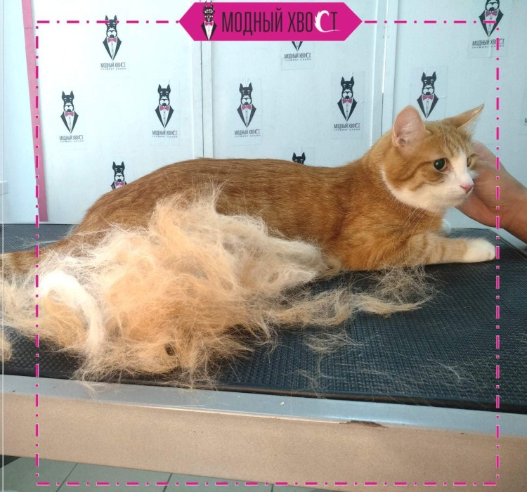 Фурминатор Сяоми