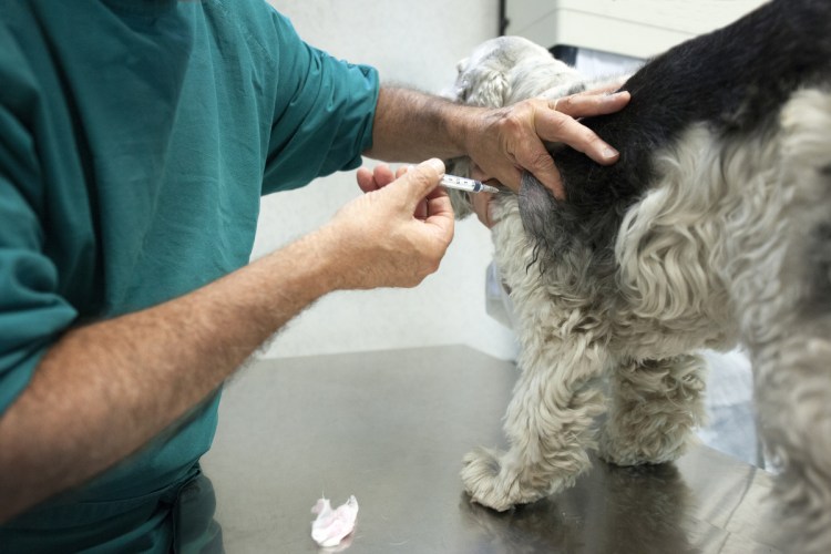 Диффузный фиброаденоматоз