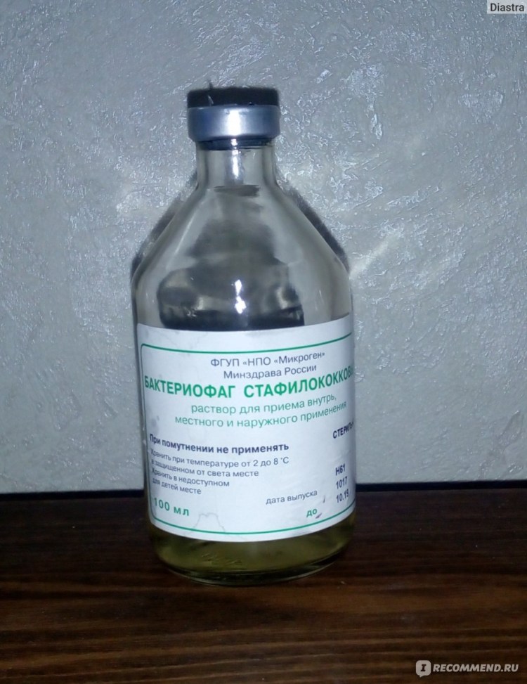 Коричневый Длинноухий веселый пес