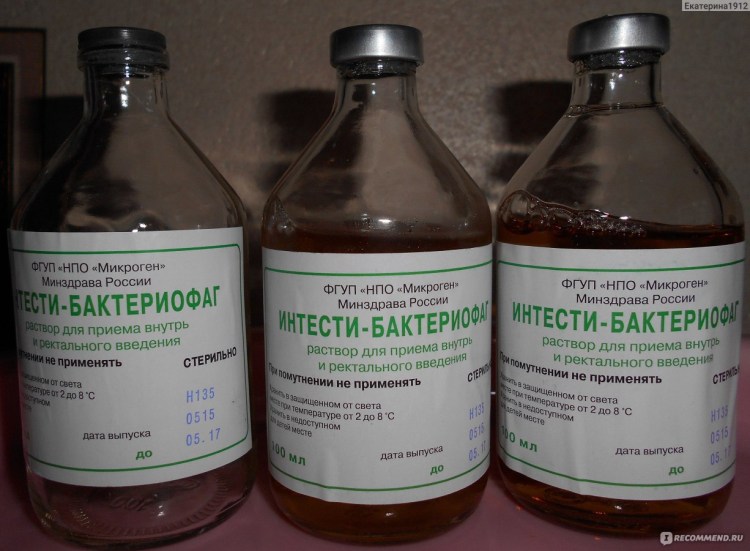 Мокнущая экзема у ретривера