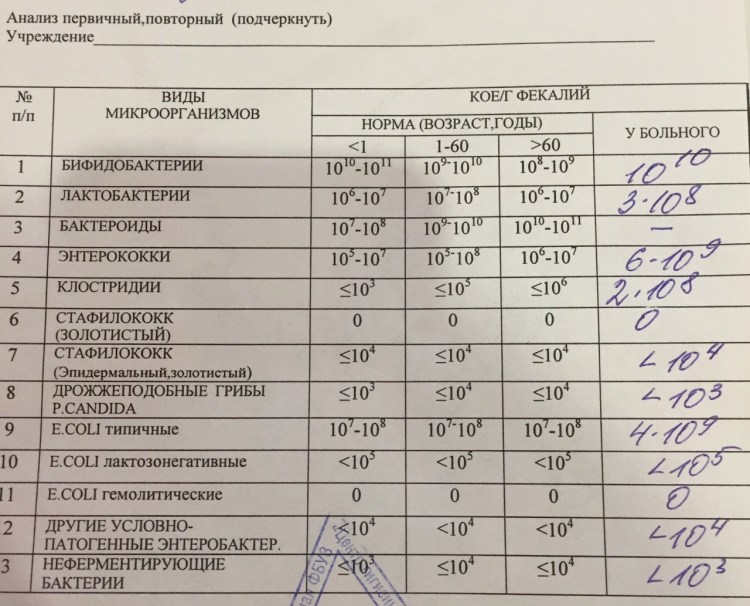 Поверхностный бактериальный фолликулит у собак