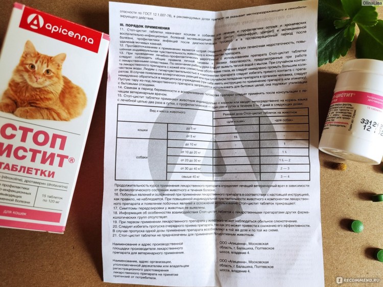 Внешние паразиты кошек