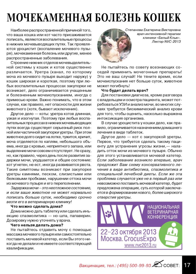 Мочекаменная болезнь у кота симптомы