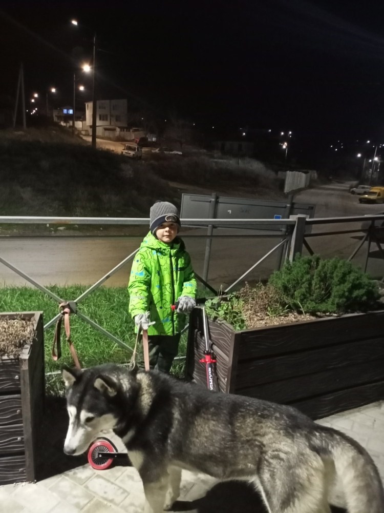 Останки древней собаки