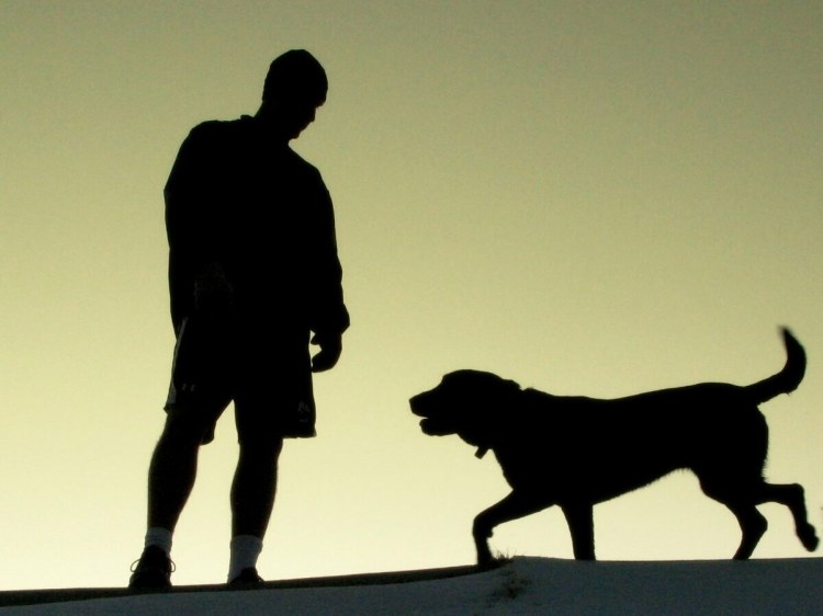 Человек с собакой силуэт