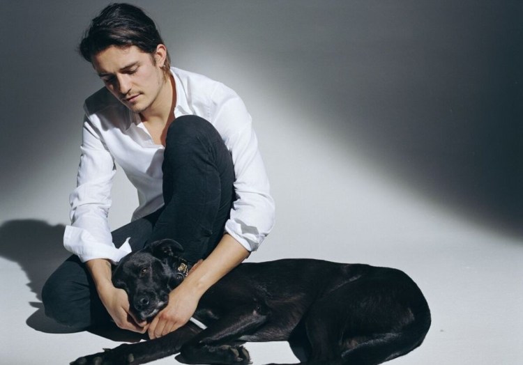 Собака Орландо Блума порода