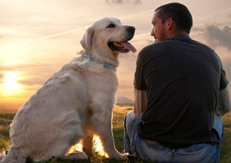 Мужчина с лабрадором