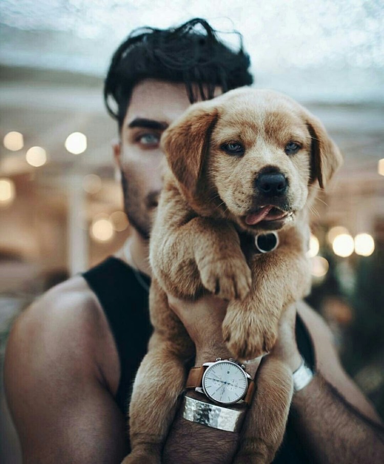 Красивый парень с собакой