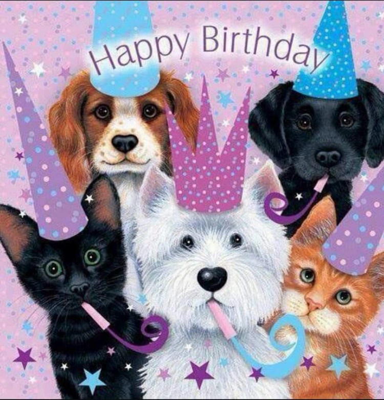 Открытки с днём рождения с собачками