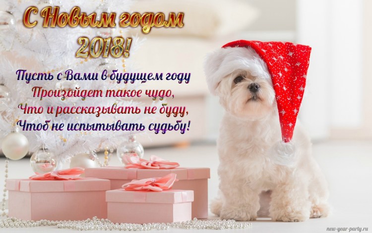Новогодние стихи про собак