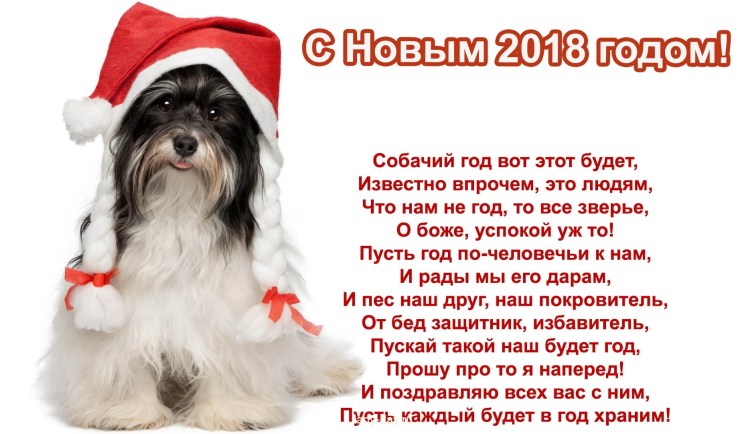 Тортик для собаки