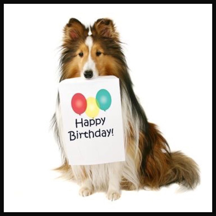 Стих в год собаки