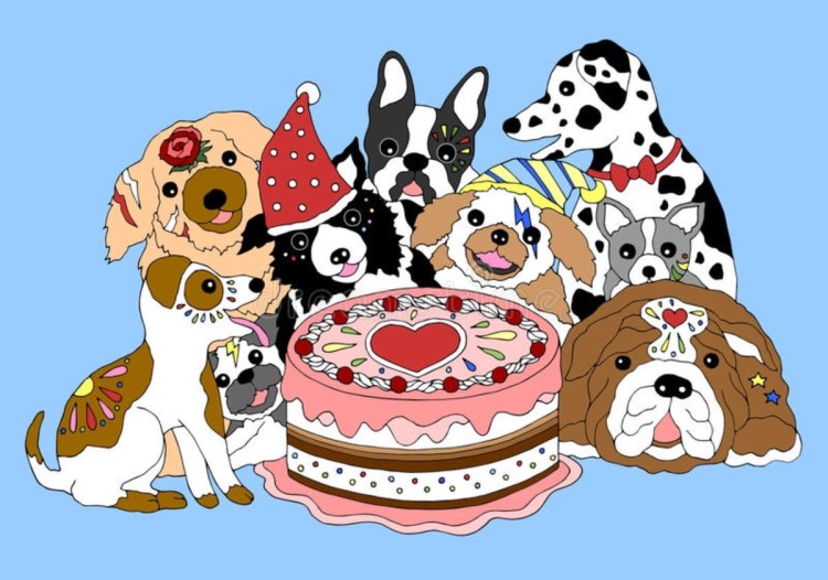 Собака в колпаке