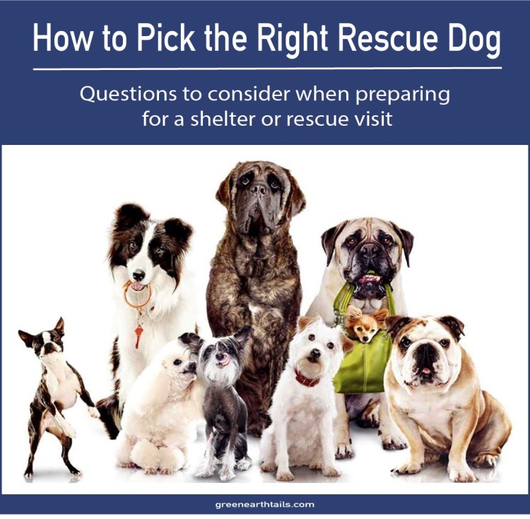 Стихи с днём рождения