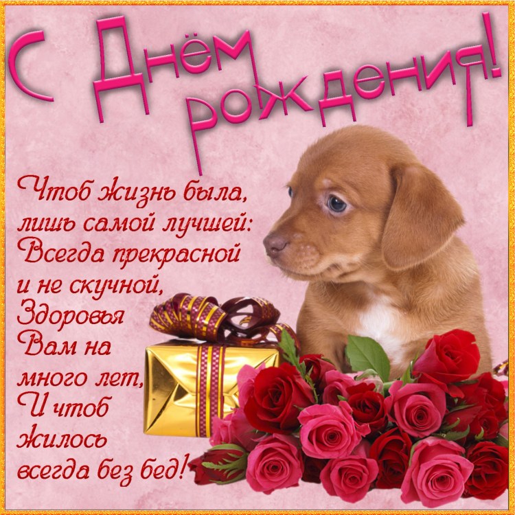 Черный собака с розой