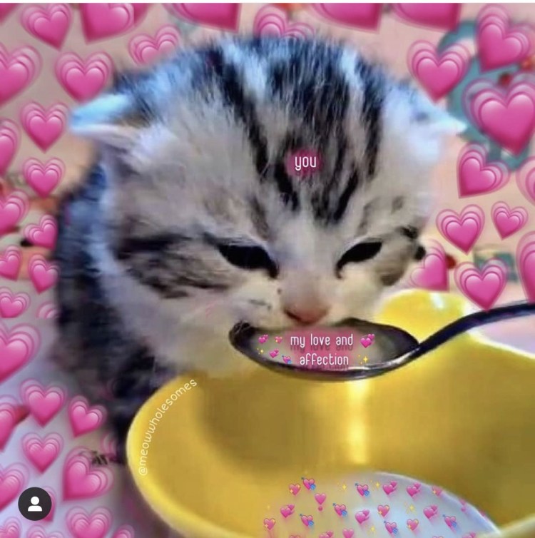 Котенок пьет из ложки