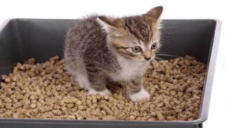 Наполнитель древесный "Клин Кэт" 10л, 5кг