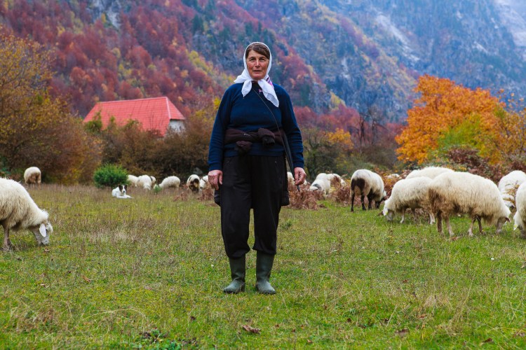 Чабан пастух Кавказ