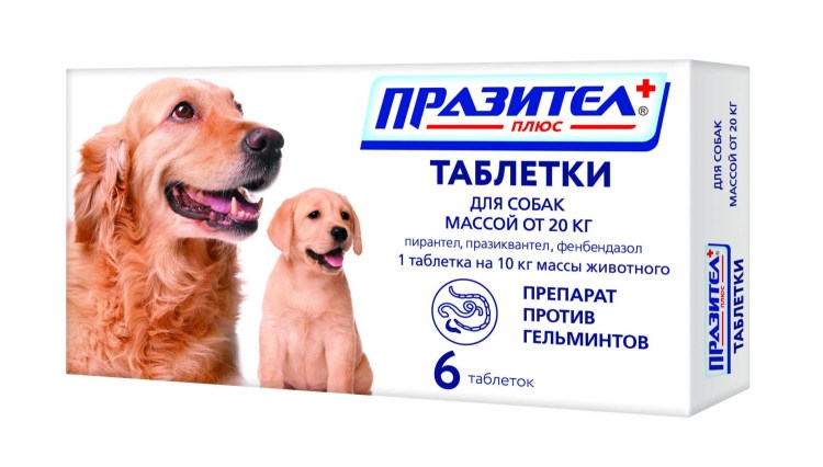 Празител плюс для собак и щенков средних пород 6 таб