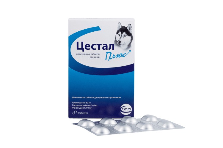 Таблетки от глистов для кошек каниквантел плюс