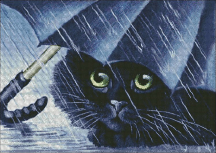 Кот под дождем