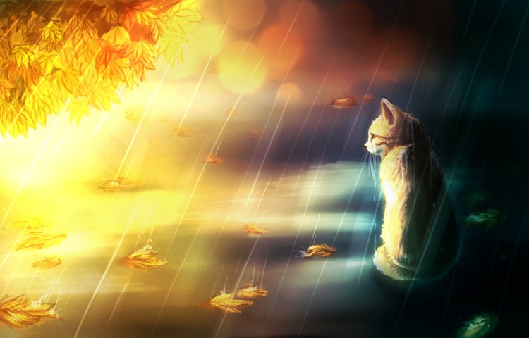 Одинокая кошка