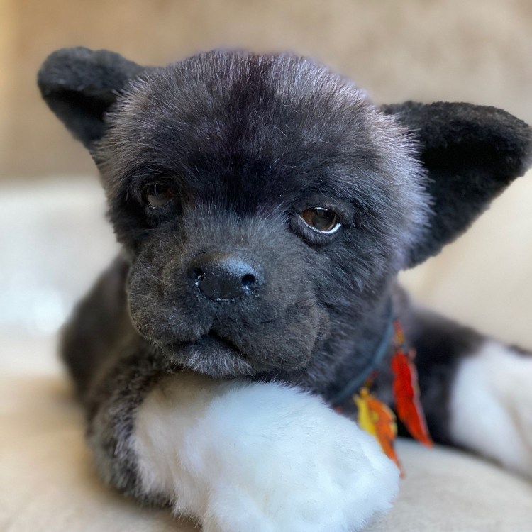 Американская Акита игрушка