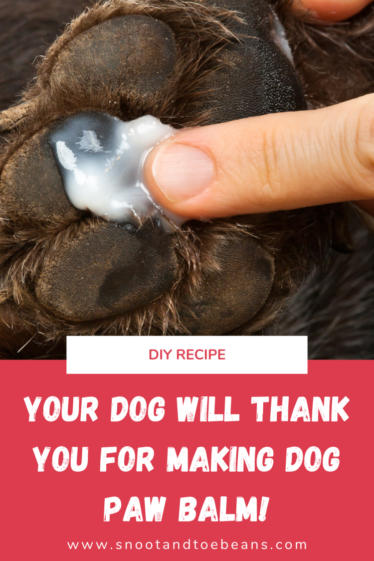 Маленькая шишка на лапе