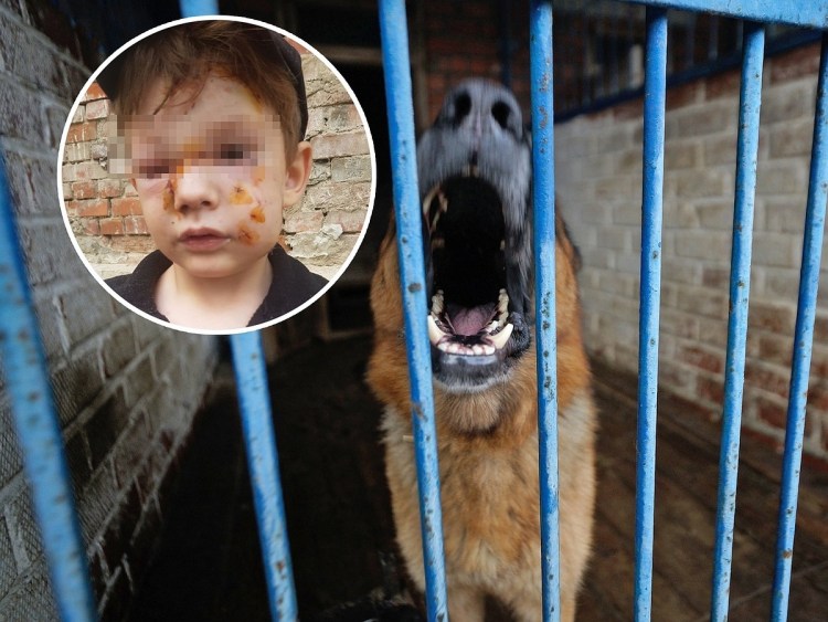 Ужаленная собака