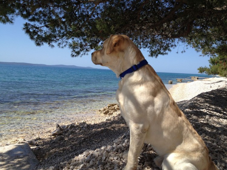 Пантеону Чак-Чак