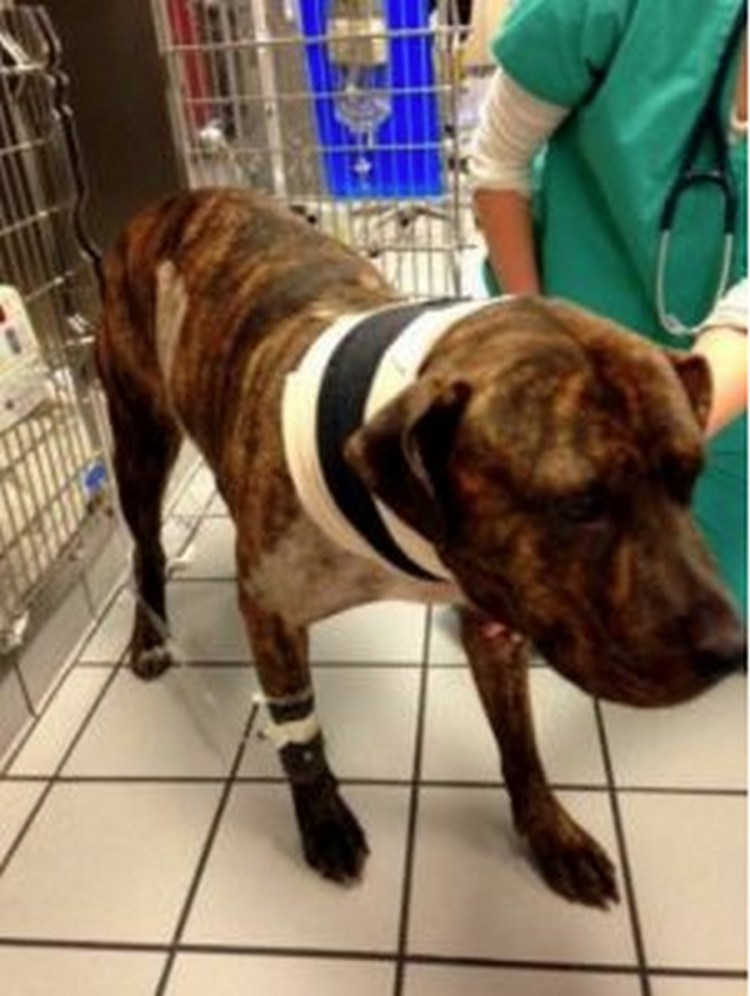 Чак Чак калории