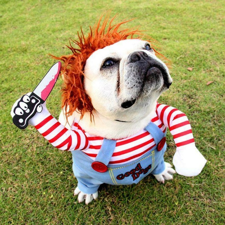 Собака носорог