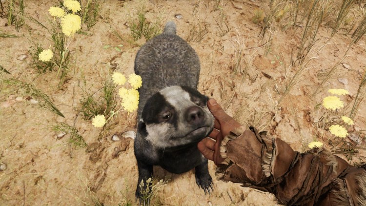 Far Cry Primal Badger