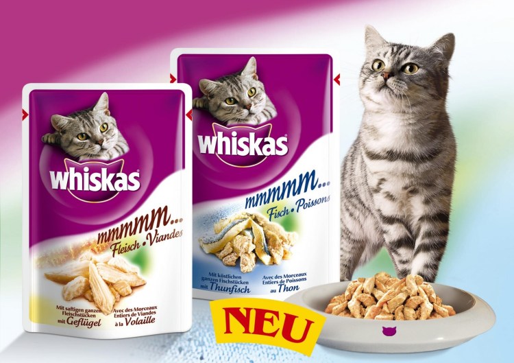 Вискас для котят