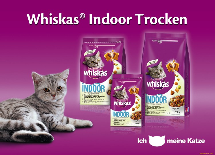 Реклама вискас корм для кошек