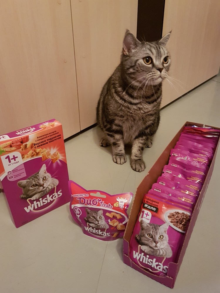 Кошачий корм жидкий Whiskas