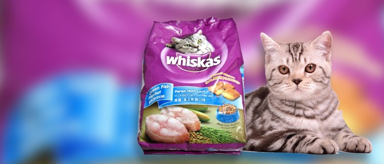 Вискас в тарелочке