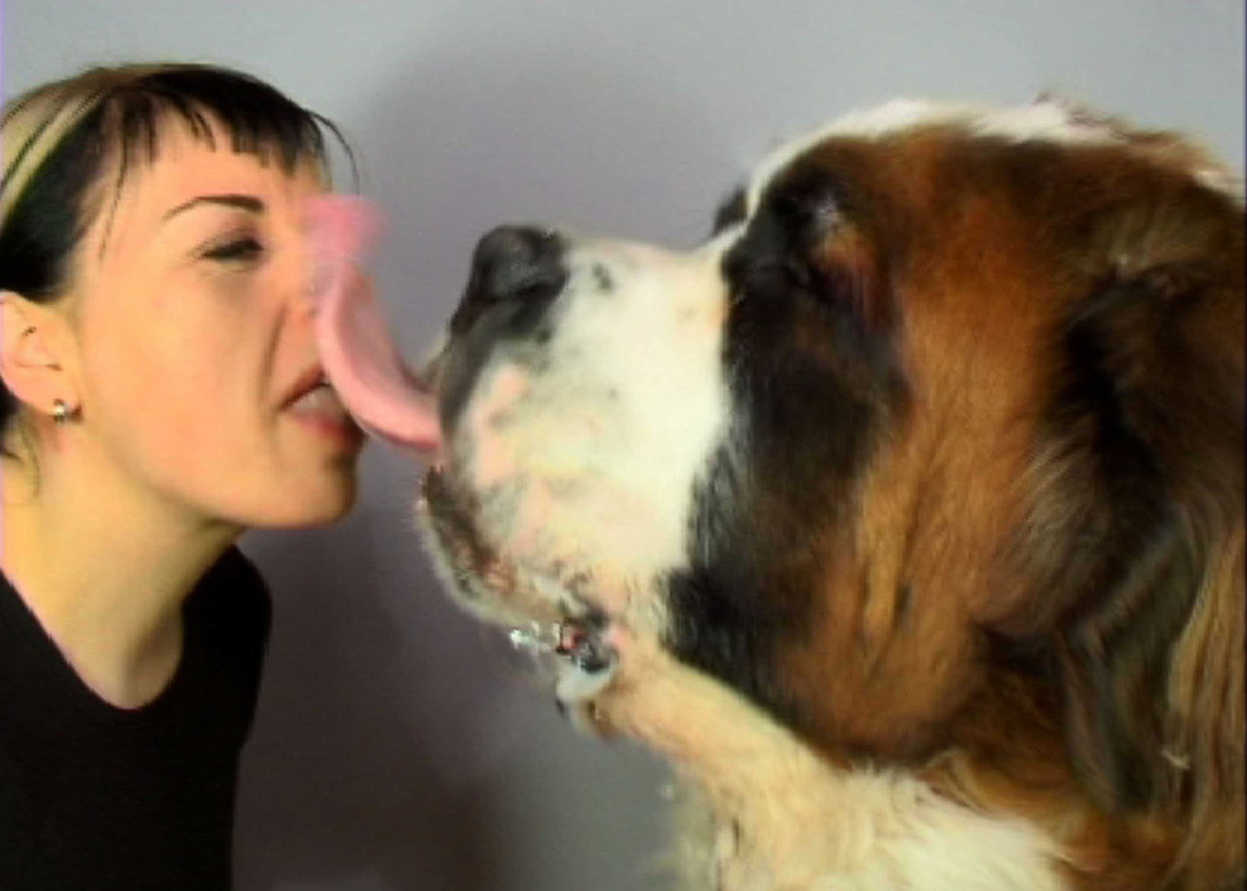 Животные лижут девушке. Angela Bartram. Поцелуй с собакой. Французский поцелуй с собакой. Французский поцелуй девушки с собаками.