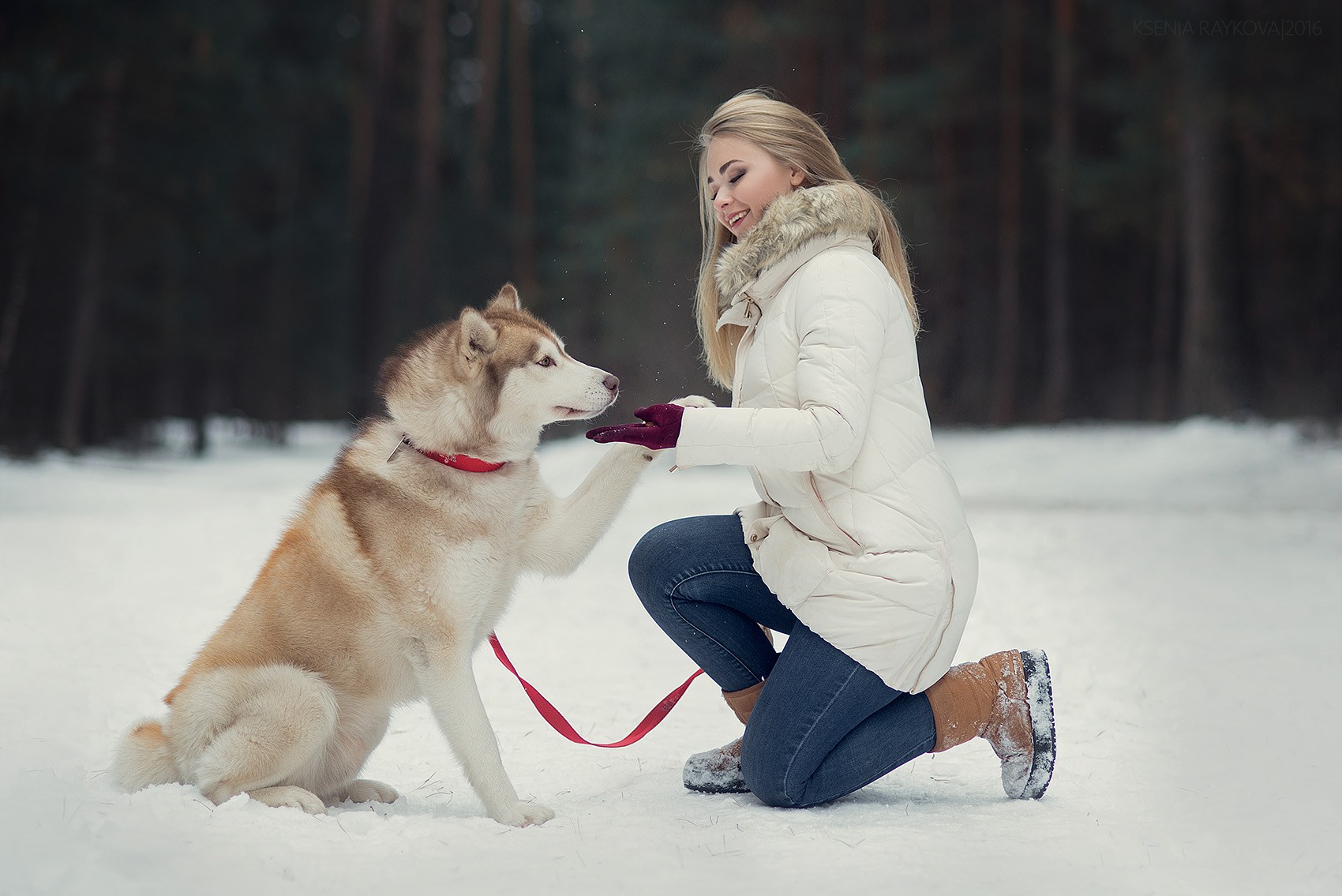 Девочка с собакой из лайка. Алабай. Девушка с собакой зимой. Зимняя фотосессия с собакой. Фотосессия с собакой зимой.