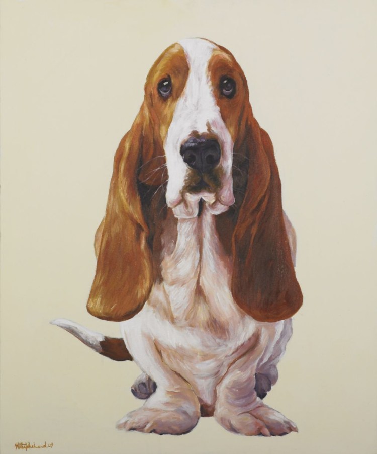 Бассет хаунд Hush Puppies