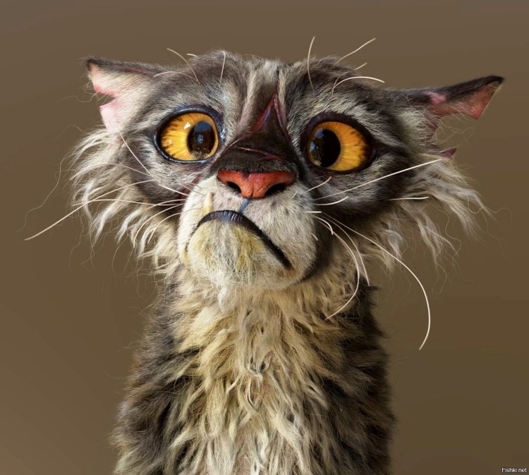 Сфинкс альбинос