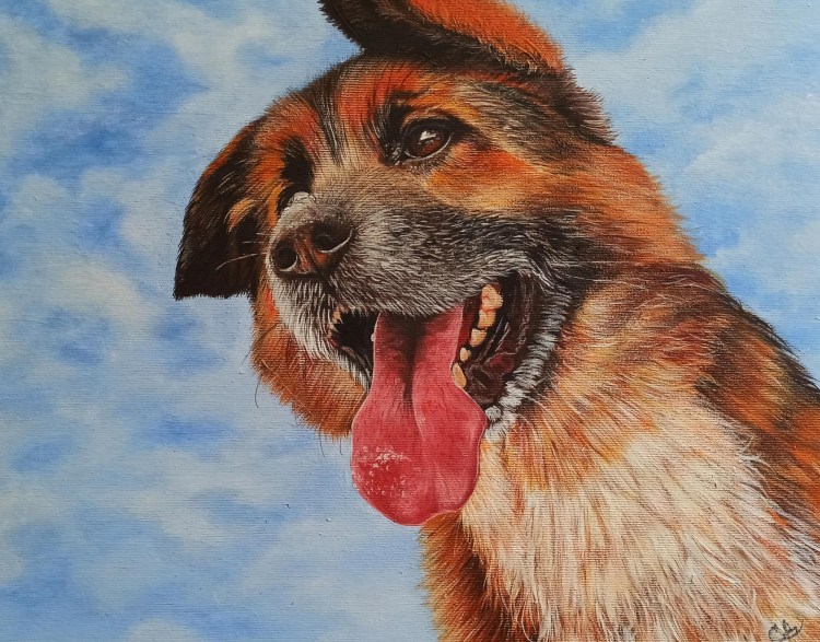 Морда собаки масло